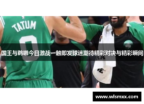 国王与鹈鹕今日激战一触即发球迷期待精彩对决与精彩瞬间