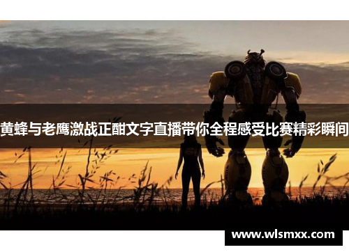 黄蜂与老鹰激战正酣文字直播带你全程感受比赛精彩瞬间