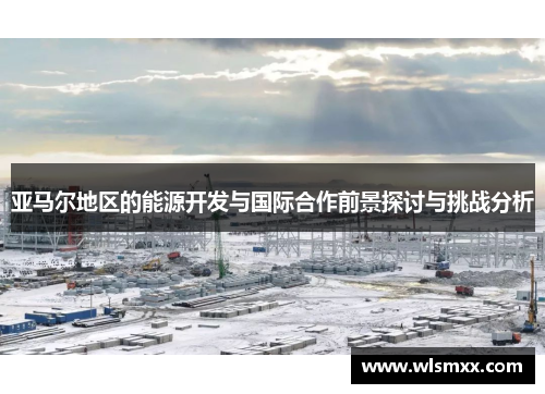 亚马尔地区的能源开发与国际合作前景探讨与挑战分析