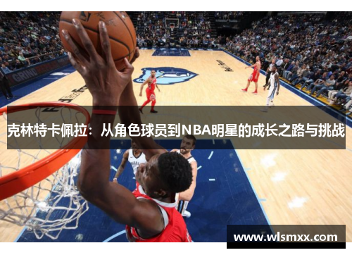 克林特卡佩拉：从角色球员到NBA明星的成长之路与挑战