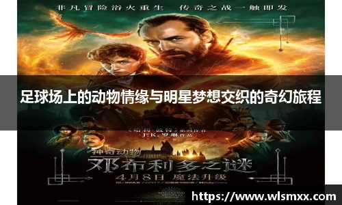 足球场上的动物情缘与明星梦想交织的奇幻旅程